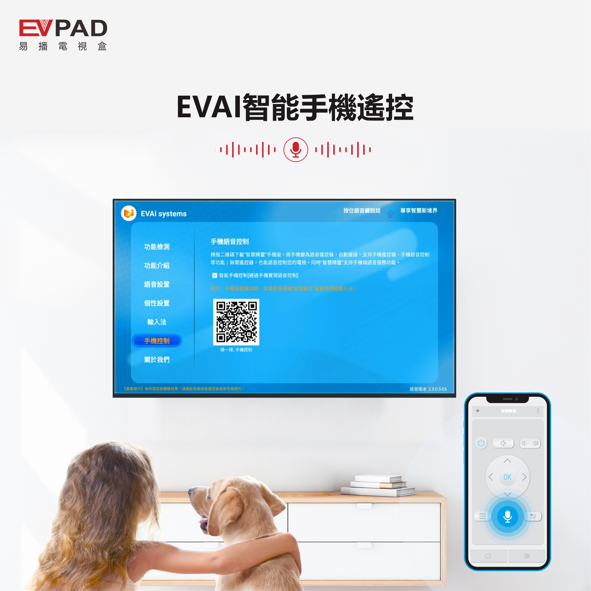 EVPAD 6P 4G RAM/64G ROM Android Tv Box Asia HK JP CN Taiwan North